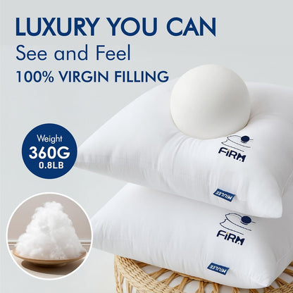 12X20 Throw Pillow Inserts Set of 2, High Support Decorative Pillow Forms for Bed and Couch, 100% Virgin Fiber Filling