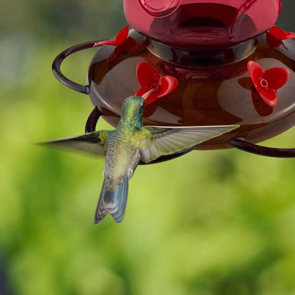 Large Capacity Hummingbird Feeders for Outdoors Hanging Wild Bird Feeders with 5 Nectar Bird Feeding Station 30 OZ Red Glass Bird Feeder - (Pack of 2)