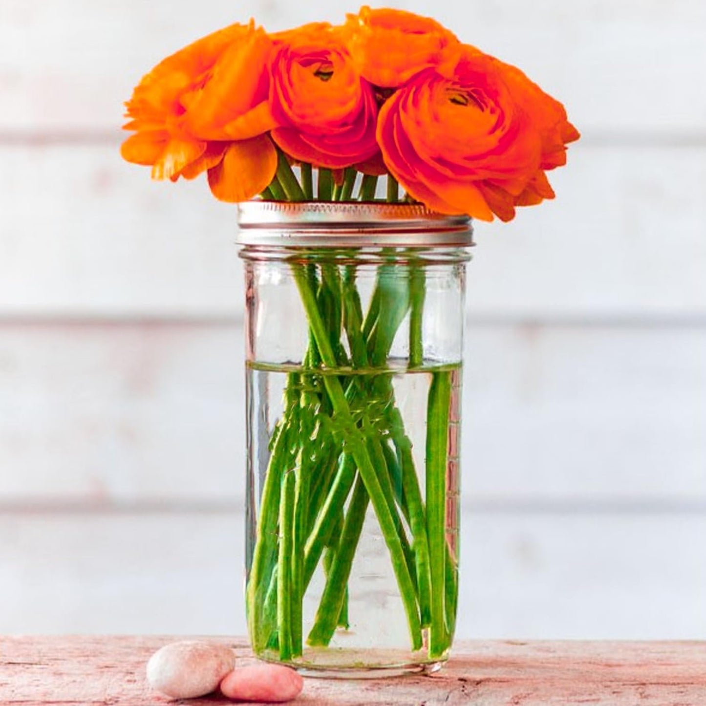 24 Oz Mason Jars,6 Pack Wide Mouth Mason Jars 24Oz with Lids,Tall Mason Jars for Canning,Preserving,Fermenting,Pickling