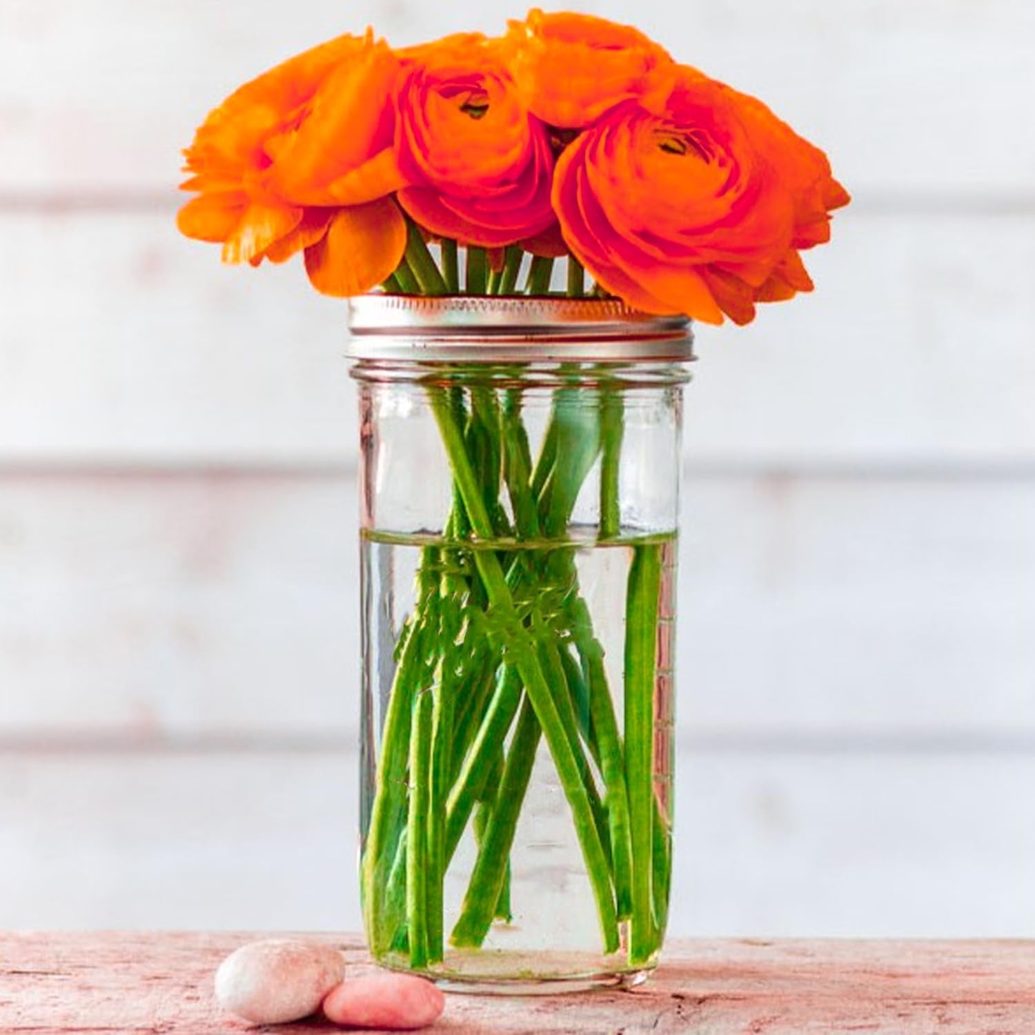 24 Oz Mason Jars,6 Pack Wide Mouth Mason Jars 24Oz with Lids,Tall Mason Jars for Canning,Preserving,Fermenting,Pickling