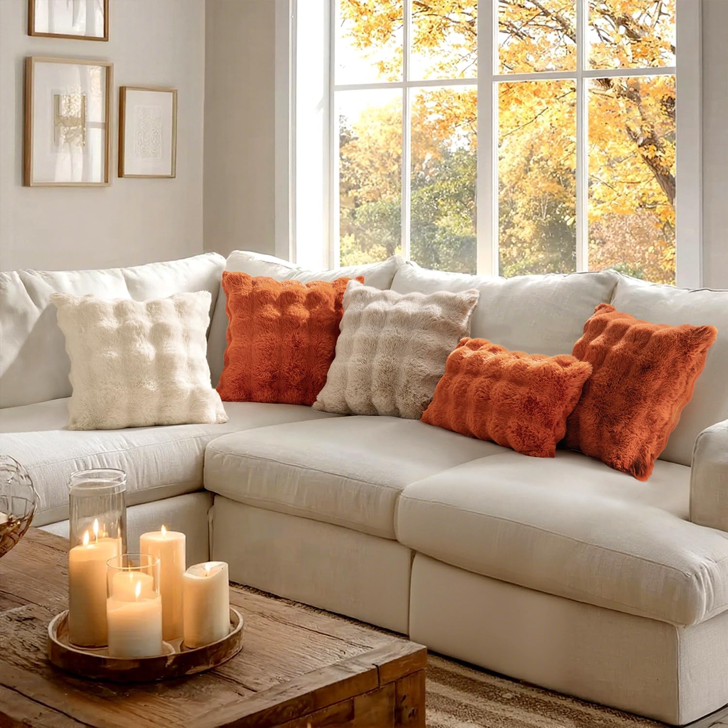 Pack of 2 Decorative Pillow Covers Fall Thick Soft Plush Faux Fur Throw Pillows Luxury Home Decor for Couch Bedroom Living Room Sofa,20X20 Inch Rust