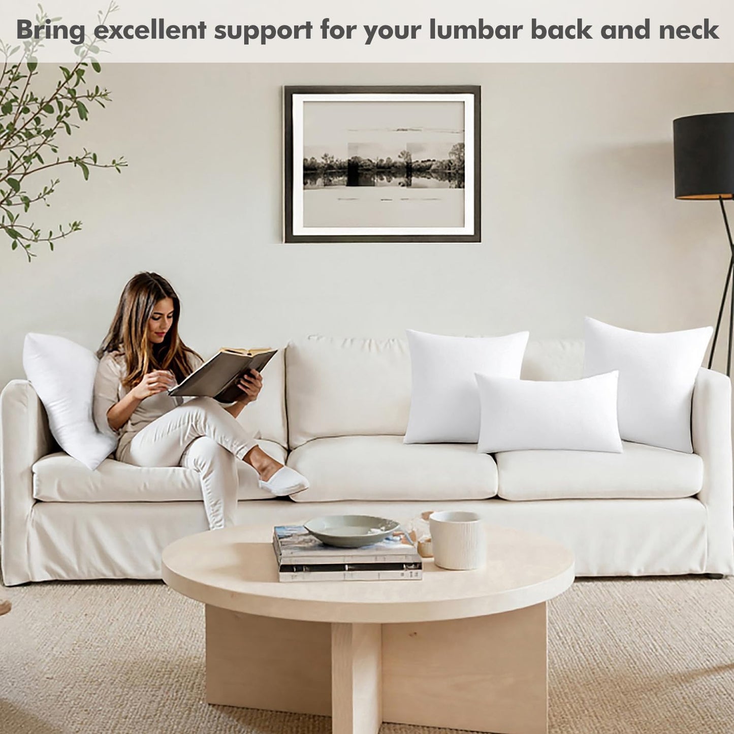 20X20 Inch Throw Pillow Insert Premium Throw Pillow Polyester Microfiber Stuffer Pillow for Sofa Bed Couch