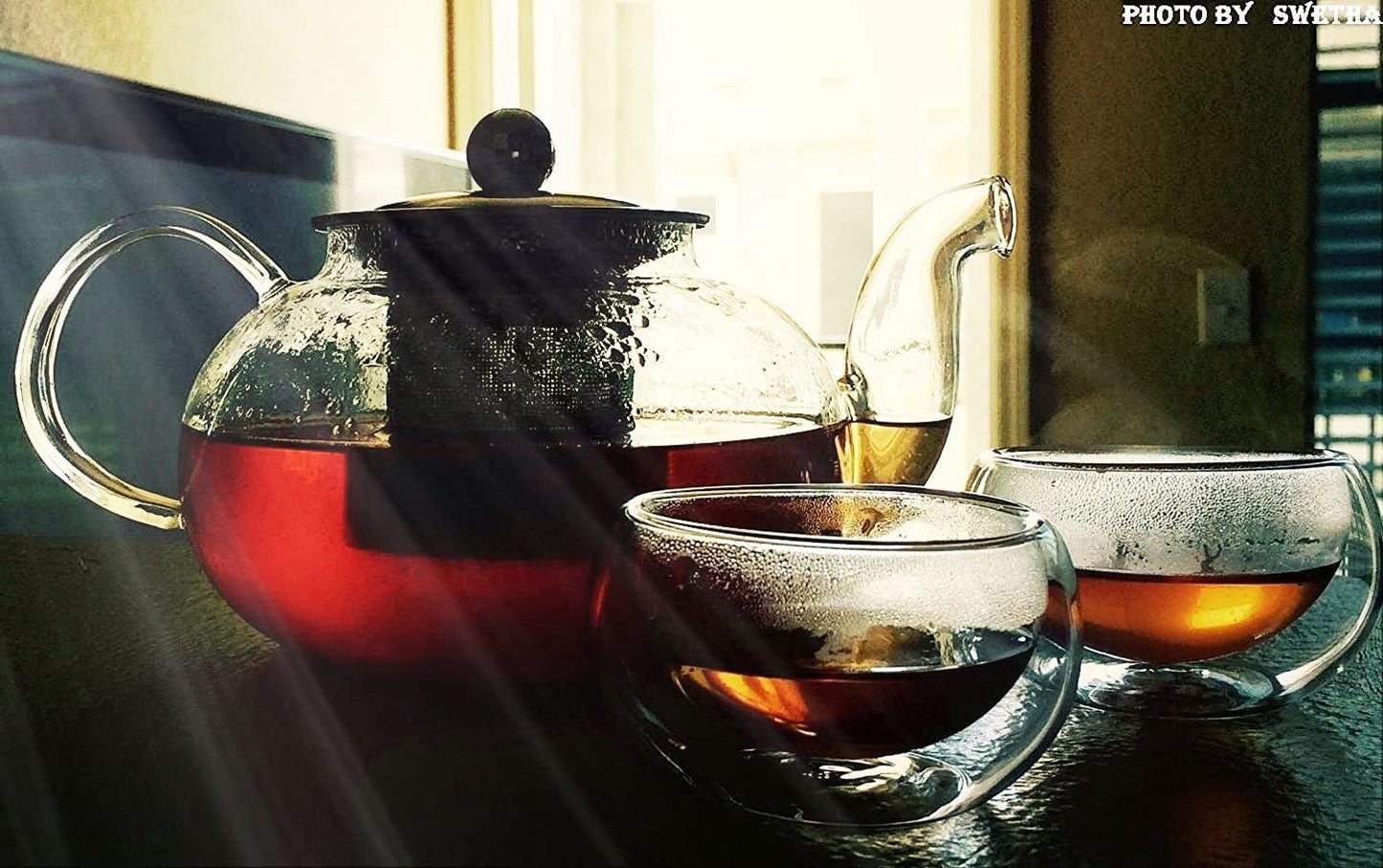 Glass Teapot with Stainless Steel Infuser & Lid, Borosilicate Glass Tea Pot Stovetop Safe, Blooming & Loose Leaf Teapots, 27 Oz