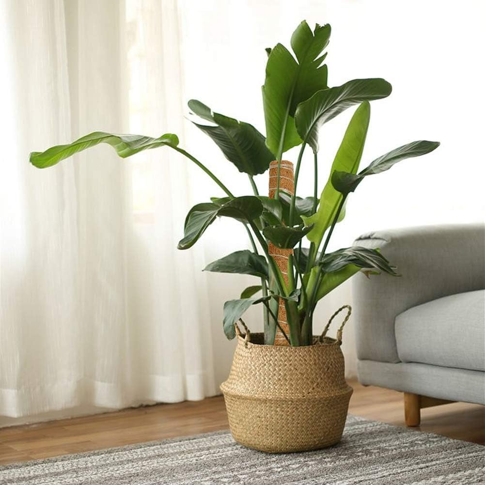 48.7 Inch Moss Pole Monstera Plant Support, 4 Pcs 15.7 Inch Stackable Moss Poles, Plant Stakes for Indoor Plants with Jute Rope & Name Label