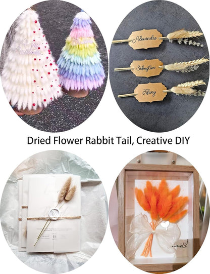 120Pcs Dried Rabbit Tails, Dusty Pink Bunny Tails, Natural Bulk Dried Flowers for DIY Bohemian Wedding Rustic Party Decorations, Garlands, Cake Decorations. (Dusty Pink)