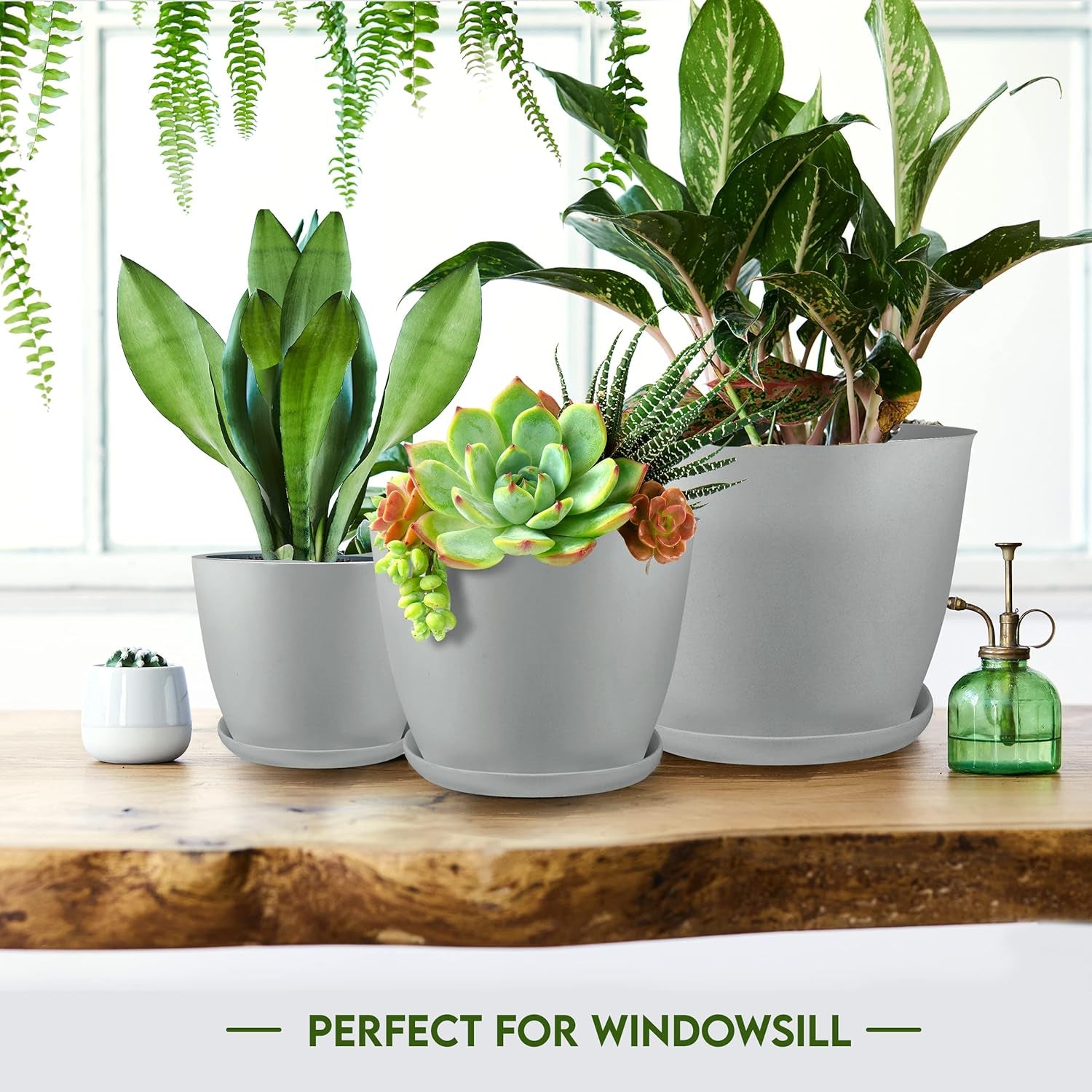 - Plant Pots Indoor with Drainage - 7/6.6/6/5.3/4.8 Inches Flower Pots for Indoor Planter - 5 Pack Plastic Planters - Ideal for Stocking Stuffers or Home Christmas Decorations - Gray