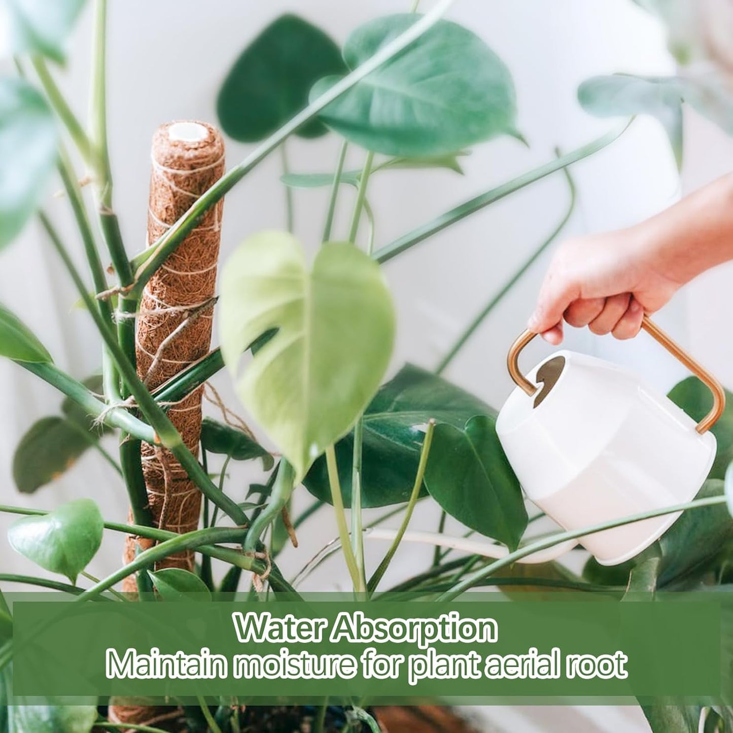 48.7 Inch Moss Pole Monstera Plant Support, 4 Pcs 15.7 Inch Stackable Moss Poles, Plant Stakes for Indoor Plants with Jute Rope & Name Label