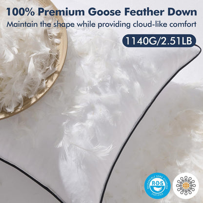 Goose Feather Down Pillow Insert Set of 2, 20x20 Inches, 100% Down-Proof Cotton Cover, Soft and Fluffy Decorative Pillows for Sofa, Bed, and Living Room, White