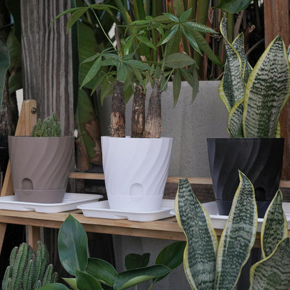 Plant Pots with Drainage, Self Watering Pots for Indoor Plants, Home Decor Flower Planters, 4 Pack 6 Inch Plastic Planters Succulent Pots, Black