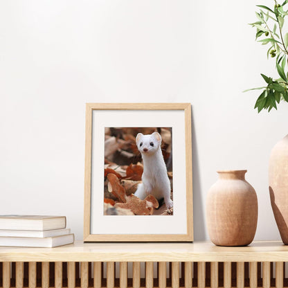 1Pack Wooden Frame 11X14 Bundle with 1 PVC 11X14
