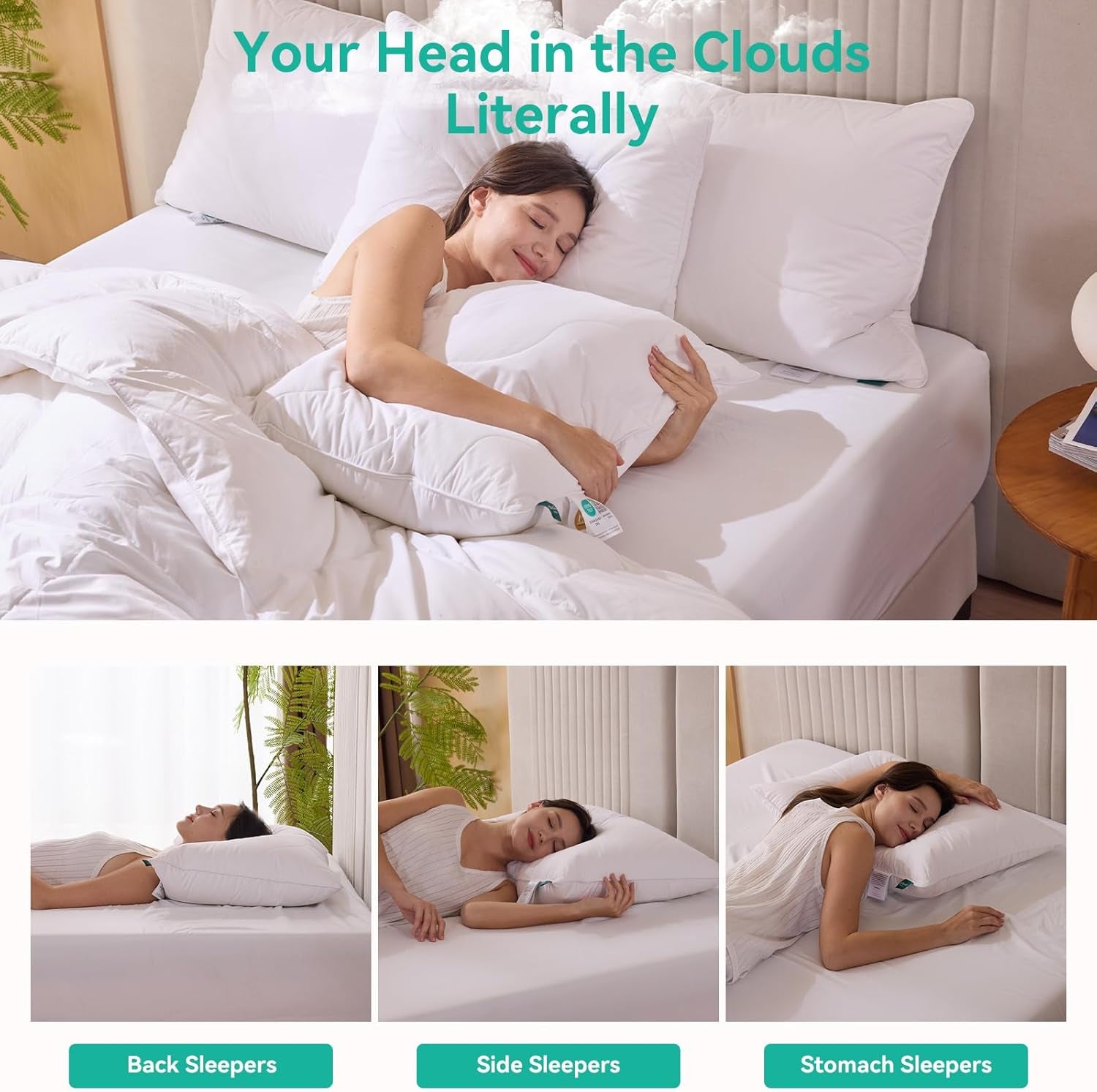 Queen Size Set of 2 White Goose Feather Down Pillows - 100% Cotton, Medium Firmness, Soft Support