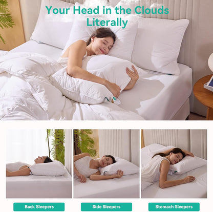 Queen Size Set of 2 White Goose Feather Down Pillows - 100% Cotton, Medium Firmness, Soft Support