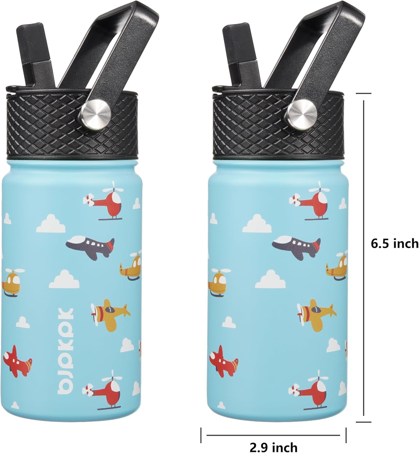 Water Bottle with Straw Lid, 15 Oz Insulated Water Bottle, Stainless Steel Metal Water Bottles, Reusable Leak Proof BPA Free Thermo, Flask, Cups, Aircraft