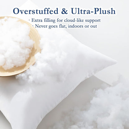 ® 20X20 Outdoor Pillow Inserts, Set of 2, Fluffy Soft Water-Resistant down Alternative Square Form Sham Stuffer for Porch Swing Sofa Couch Cushion Patio Furniture