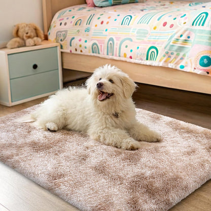 Area Rugs for Living Room Bedroom, Machine Washable 2X3 Feet Soft Fluffy Shaggy Bedside Rug, Indoor Floor Carpet for Kids Girls and Boys, Dorms Nursery Room, Home Decor Aesthetic, Beige Tie-Dye