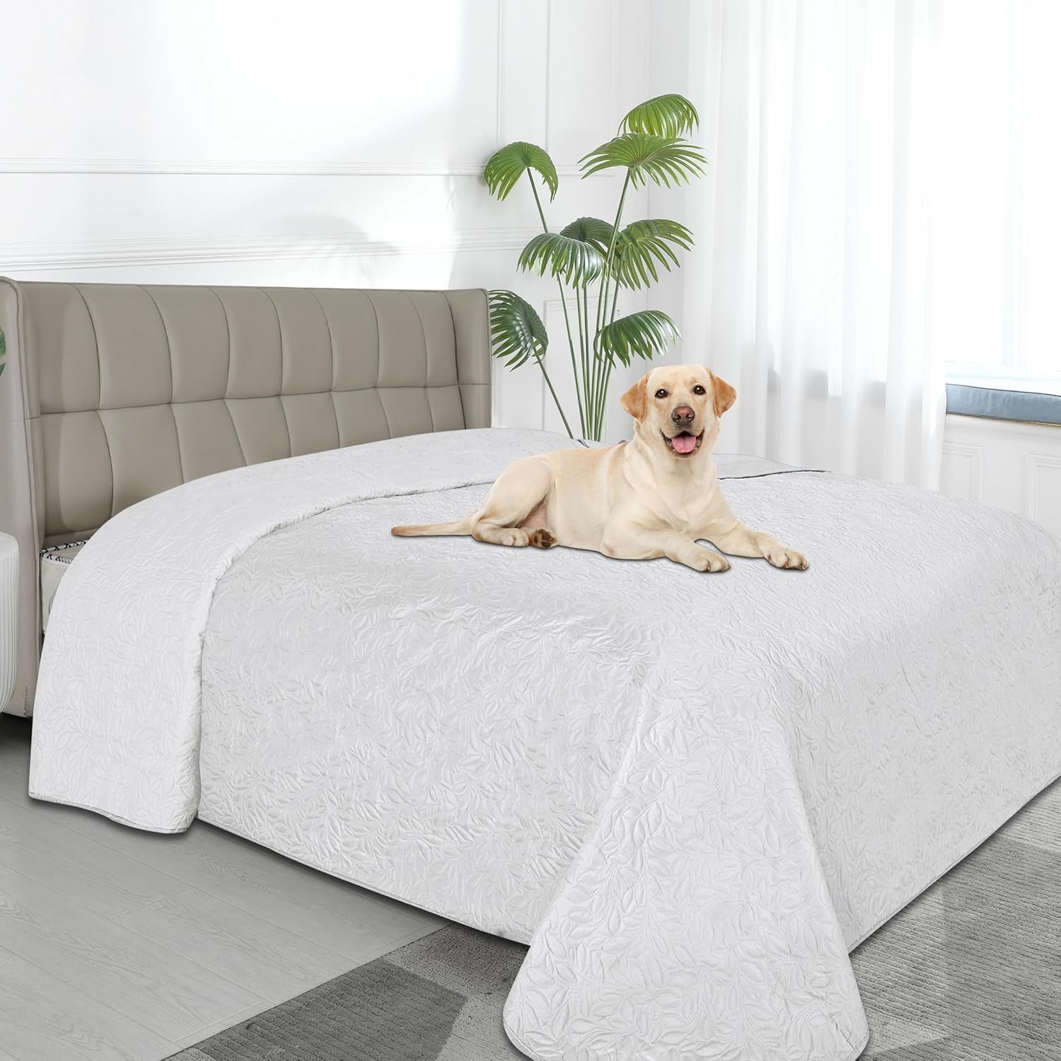Waterproof Dog Bed Cover Reversible Leak Proof Pet Blanket Replacement Mat for Furniture Washable Couch Cover Sofa Cover for Dogs Cat(52X86 Inch, White/White)