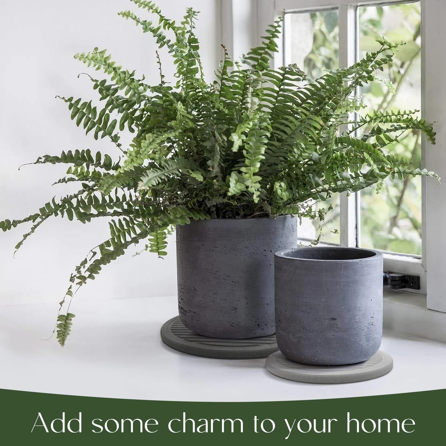 Plant Saucers for Indoors - Diatomite Stone Water Catcher Tray, Quick Dry, Eco-Chic Plant Coasters for House Plants - Keep Your Room Tidy and Dry (2 Pcs, 10Inch & 8Inch)