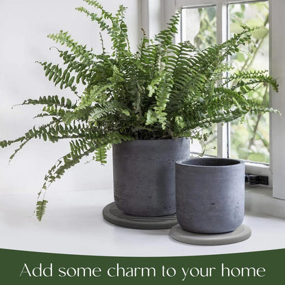 Plant Saucers for Indoors - Diatomite Stone Water Catcher Tray, Quick Dry, Eco-Chic Plant Coasters for House Plants - Keep Your Room Tidy and Dry (2 Pcs, 10Inch & 8Inch)