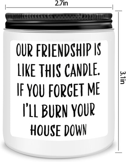 Friends Birthday Christmas Gifts for Women, Friend Funny Scented Soy Candles Gift, Our Friendship White Candle Premium Lavender Scent