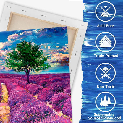 Stretched Canvas for Painting, 5"X7", 8"X10", 11"X14", Pack of 3, Pre-Primed Canvases Wood Framed, Blank White Painting Canvas Boards for Acrylic, Oil and Gouache Painting