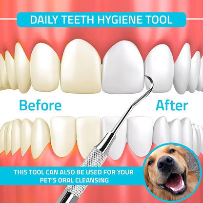 Professional Dental Tartar Scraper Tool, Dental Pick, 6.5 Inch Double Ended Tartar Remover for Teeth, Plaque Remover, Tooth Scraper, Silver, 1 Piece