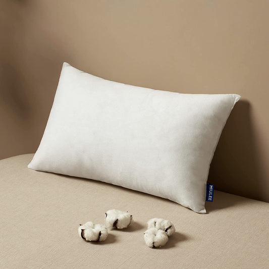 12x20 Inch Decorative Rectangle Pillow Insert, Premium Fluffy Cushion Filler for Sofa and Living Room
