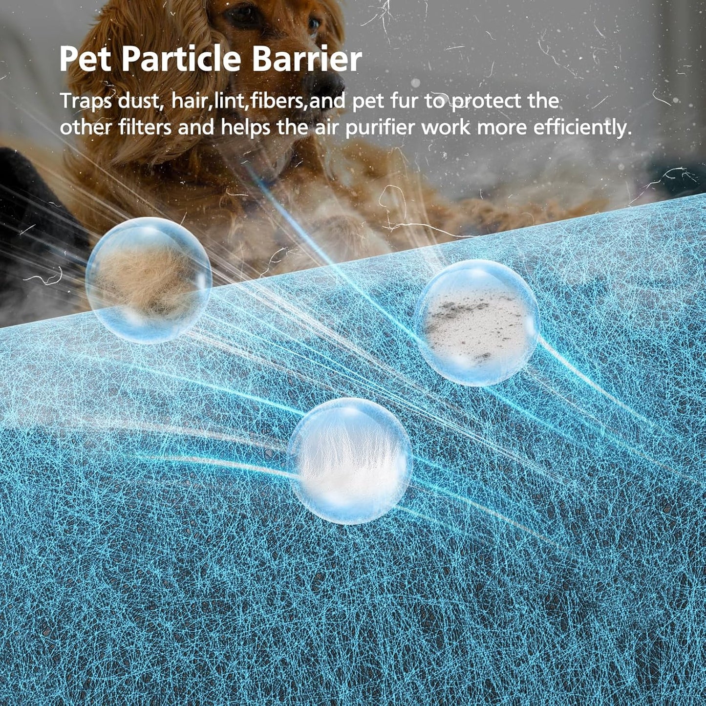 HP072 Replacement Filter for Shark Neverchange Compact Pro Air Purifier - Advanced HEPA Filtration for Pet Dander, Dust, Smoke, and Allergens, Coverage up to 250 Sq. Ft.