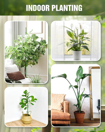 20 Pack Plant Stakes for Indoor Plants, 16 Inch Garden Stakes, Adjustable Plant Support Sticks for Tall Plants as Tomatoes Beans Orchid Vegetable