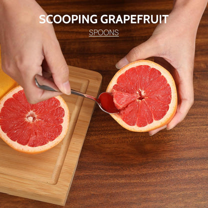 4-Piece Grapefruit Spoons and Grapefruit Knife, 18/8 Stainless Steel