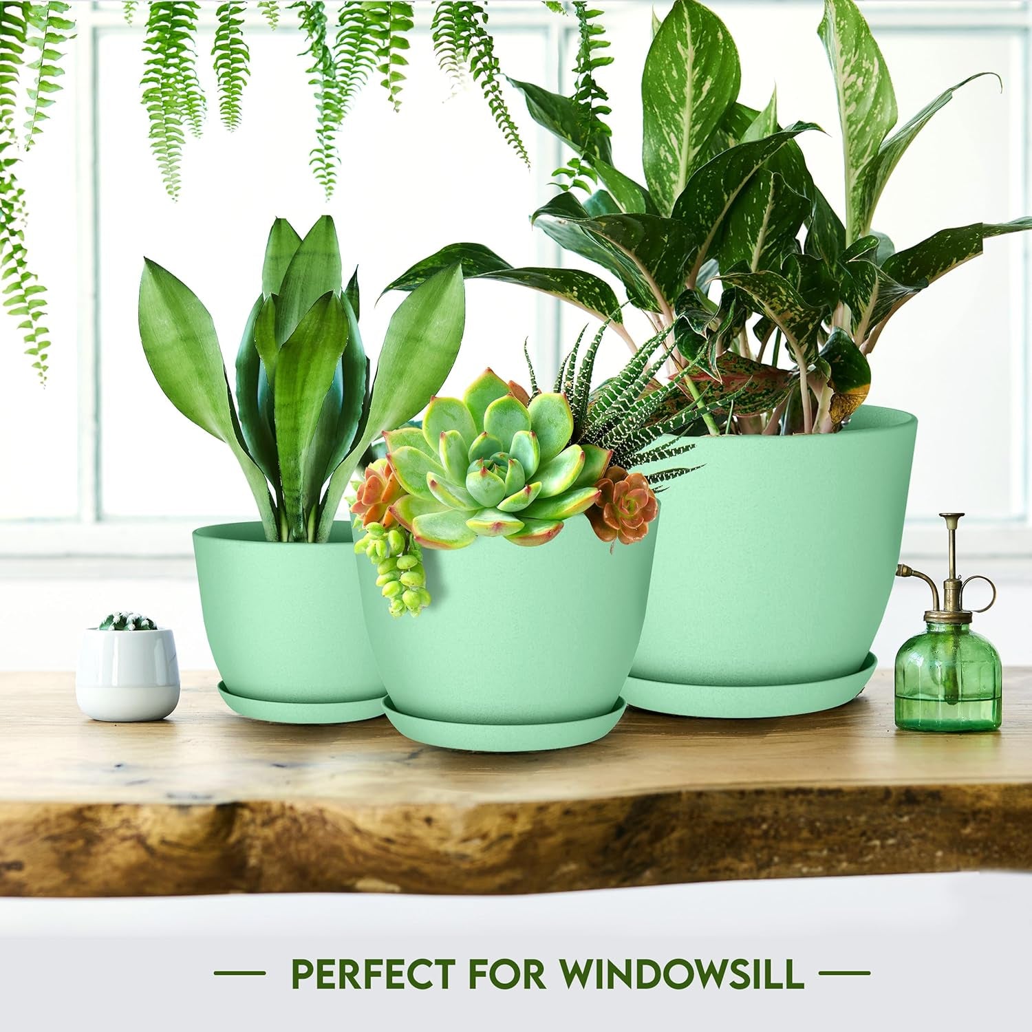 - Plant Pots Indoor with Drainage - 7/6.6/6/5.3/4.8 Inches Home Decor Flower Pots for Indoor Planter - Pack of 5 Plastic Planters for Indoor Plants, Cactus, Succulents Pot - Mint