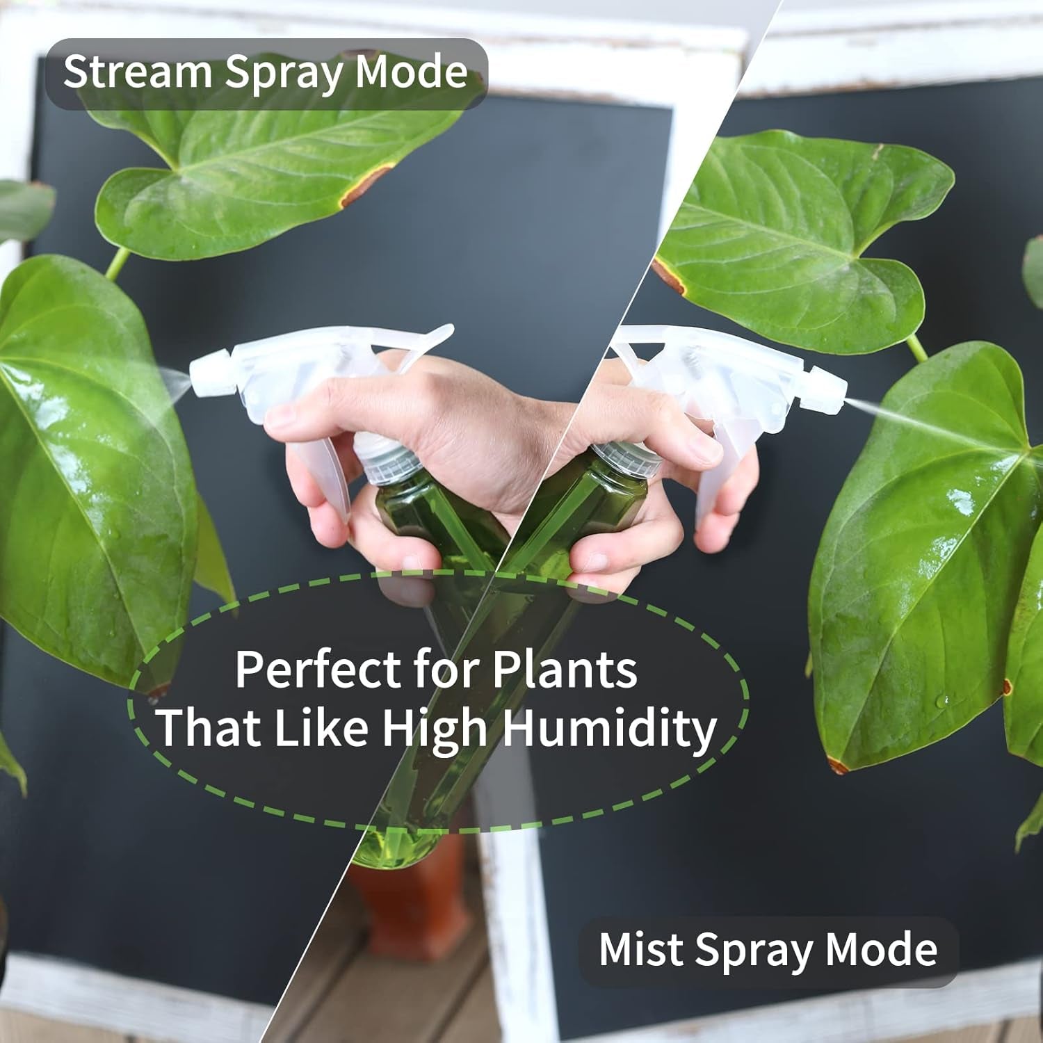 Indoor Plants Watering Can - Long Spout 47 Oz with Bonus 16 Oz Spray Bottle & 8.5 Oz Squeeze Bottle, Green