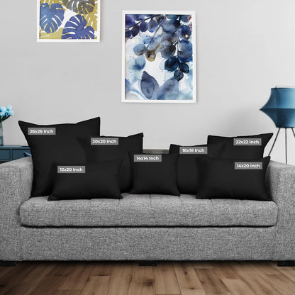 Throw Pillows Insert (Pack of 2, Black) - 18 X 18 Inches Bed and Couch Pillows - Indoor Decorative Pillow