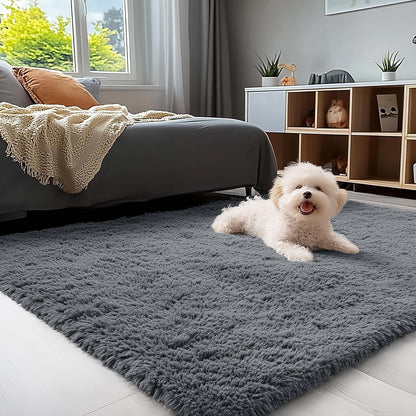 Area Rugs for Living Room Bedroom, Machine Washable 4X5.9 Ft Soft Fluffy Shaggy Bedside Rug, Indoor Floor Carpet for Kids Girls and Boys, Dorms, Nursery Rooms, Home Decor Aesthetic, Grey