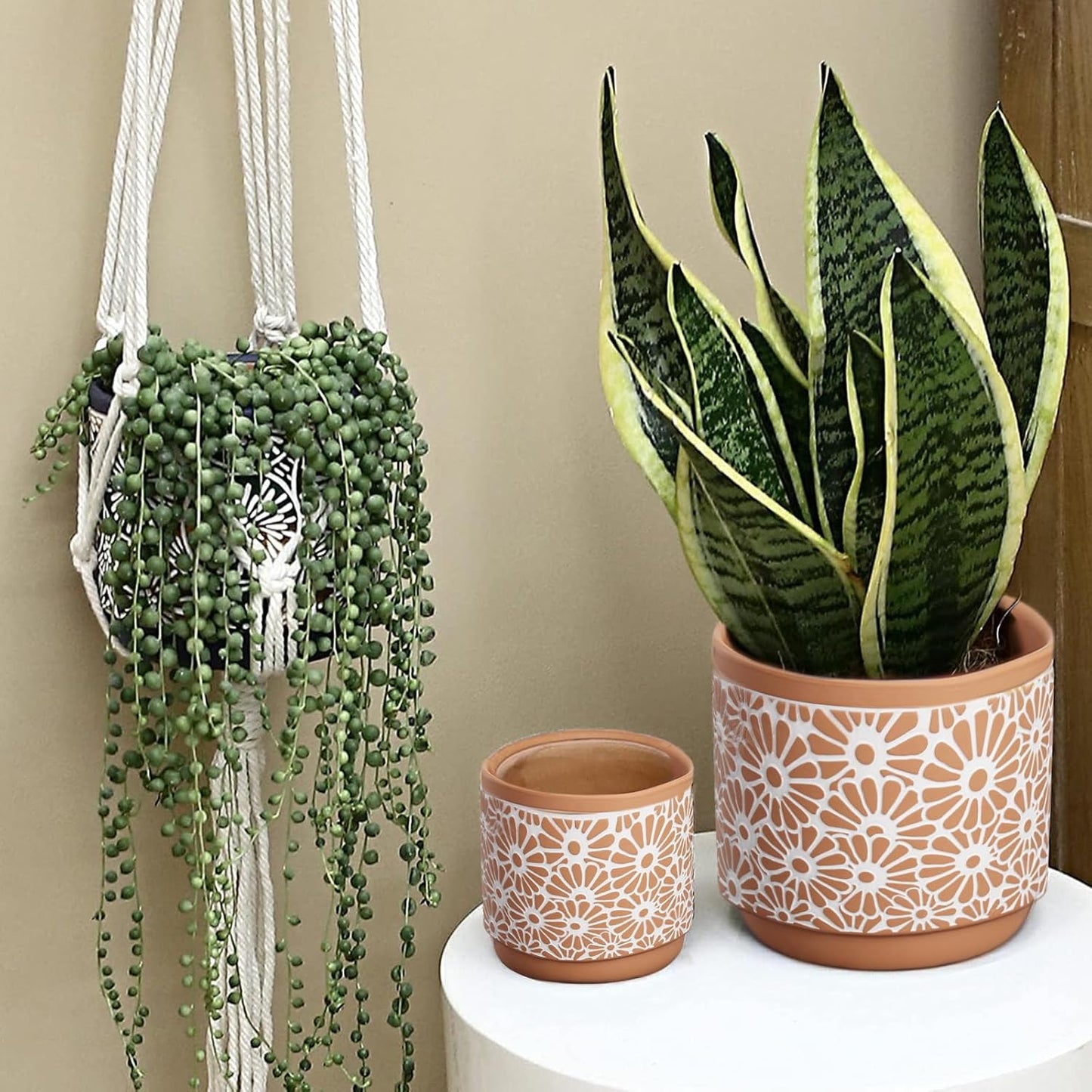 3 Piece Ceramic Plant Pots, 5.7/4.7/3.5/Inch Planters with Drainage Hole, Outdoor Indoor Flower Pots Set, Modern Decorative Plant Pots for Lilies, Cacti, Succulents, Snakes, Bamboo(Red)