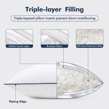 Goose Feather Down Pillow Insert Set of 2, 20x20 Inches, 100% Down-Proof Cotton Cover, Soft and Fluffy Decorative Pillows for Sofa, Bed, and Living Room, White